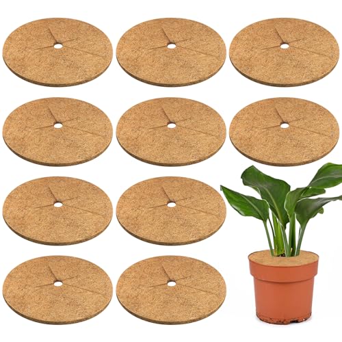 Legigo 10 Pack Coconut Fiber Mulch Ring Tree Plant Protector Mat, 11.8 Inch - color: 10 Pack, size: 11.8 Inch