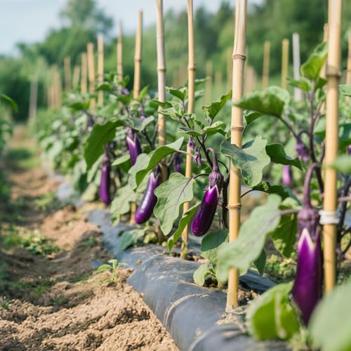 36 Pcs Plant Stakes, 16 Inches Natural Garden Bamboo Sticks, Plant Support Stakes for Indoor & Outdoor Plants, Orchid Tomato Vegetable Stakes for Garden