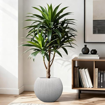 11.8" H x 14.5" Dia Large Round Plastic Planter Pot with Drainage & Plug - color: Mediterranean Beige