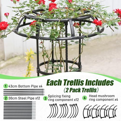 Quibbay 53 Inch Mushroom Top Garden Trellis for Climbing Plants, 1 Pack - style: 4 Floors-10*53IN