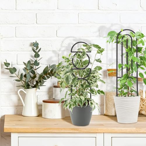 4 Pcs Plant Trellis Indoor Black Small Trellis for Potted Plants - style: Boho