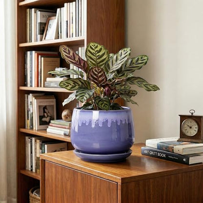 Ceramic Flower Pots, 7 Inch Indoor Planter with Drainage, Blue - size: 7 Inch, style: Blue