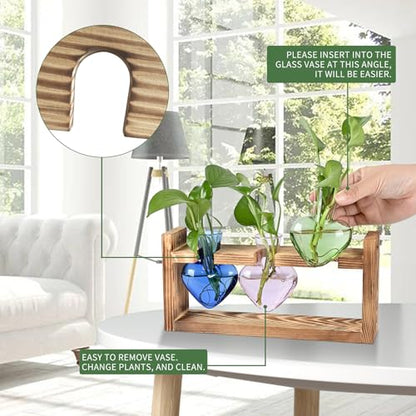 Plant Terrarium Propagation Stations Hydroponics - color: Mixed Color