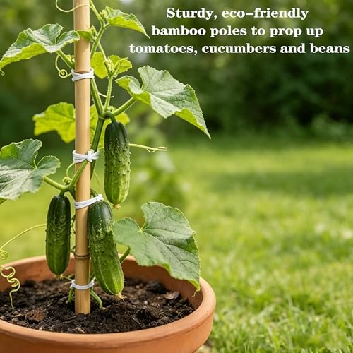 Bamboo Stakes with Jute Twine, 6FT Garden Stakes Multi-Purpose, Plant Stakes for Tomatoes, Beans, Cucumbers, Peppers, Flowers, Potted, Maintain the Plant Posture, Strengthen and Stem