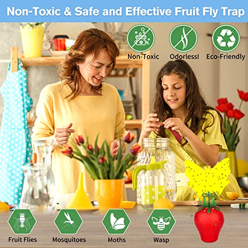 Fruit Fly Trap for Indoors,2025 Upgrade Fruit Flies Gnat Killer with Yellow Sticky Fruit Fly Traps,Safe and Non-Toxic Fruit Flies Traps,Odorless Fly Insect Trap for Home,Kitchen,Plants (Red,2 Pack) - size: 2 pcs