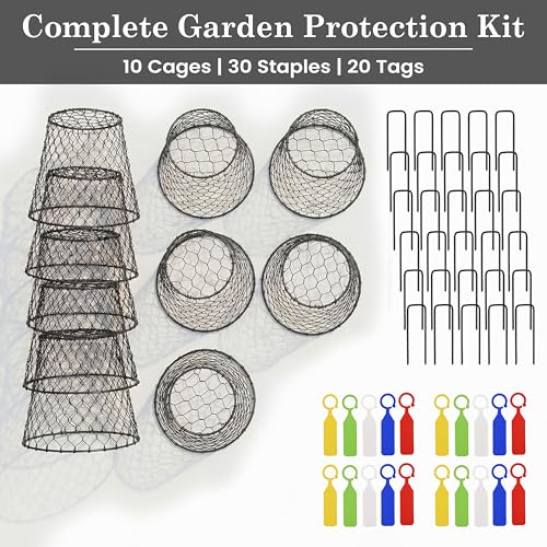 DHAMPOOH Garden Cloches for Plants, Outdoor Plant Protectors, 4 Pack - size: Pack of 4