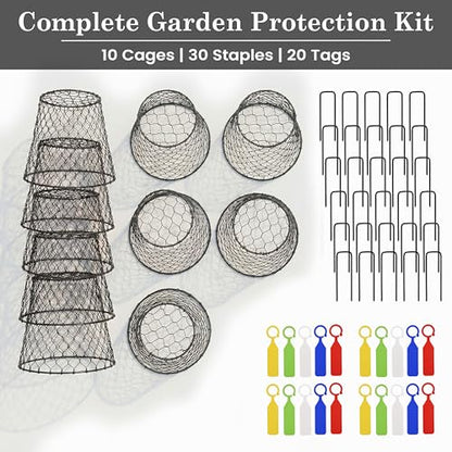 DHAMPOOH Garden Cloches for Plants, Outdoor Plant Protectors, 4 Pack - size: Pack of 4