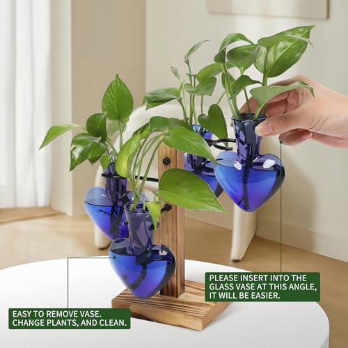 Plant Terrarium Propagation Stations with Wooden Stand - color: Deep Blue