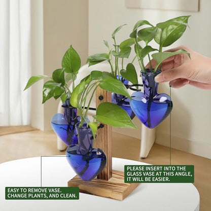 Plant Terrarium Propagation Stations with Wooden Stand - color: Deep Blue