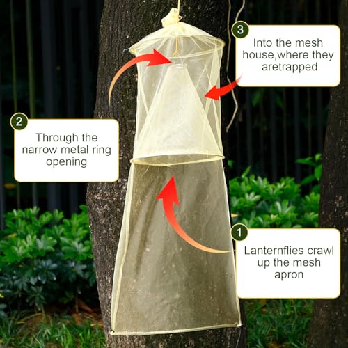 Qualirey 8 Pack Spotted Lanternfly Trap Lanternfly Killer for Tree,Yellow - color: Yellow