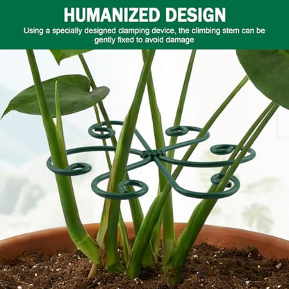 4PCS Iron Monstera Support, Plant Stem Support Uniquely Designed Plant Support Stakes for Indoor Plants, Stable Plant Stakes and Supports, Turtle Shell Bamboo Clamp Set for Thriving Growth