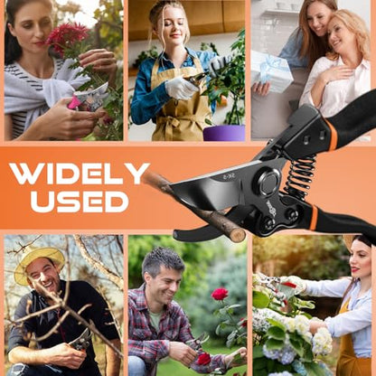 DECERK® 8.5" Professional Pruning Shears, Effortlessly Prunes 3/4" Branches - color: Black Orange