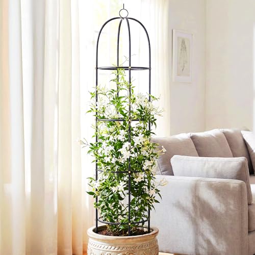 Metal Trellis for Climbing Plants Outdoor, 2026 Upgrade 100% Metal with Powder Coating, Rose, Flowers, Grape, Pea, Cucumber Tomato Cage - 6.3 FT Freestanding Plant Support