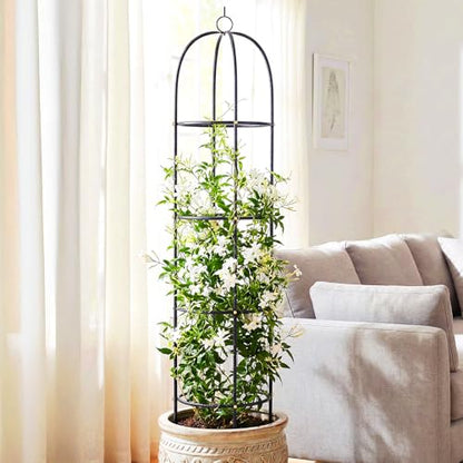 Metal Trellis for Climbing Plants Outdoor, 2026 Upgrade 100% Metal with Powder Coating, Rose, Flowers, Grape, Pea, Cucumber Tomato Cage - 6.3 FT Freestanding Plant Support