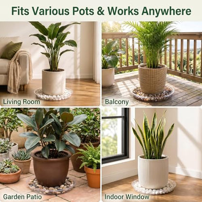 4 Pack 16 17 18 19 20 21 22 in Clear Plastic Plant Saucers for Indoors, Durable Plant Trays for Pots and Plant Water Catcher Tray with No Holes, Reusable Plastic Trays for Plants (17''-4Pack) - size: 17''-4Pack