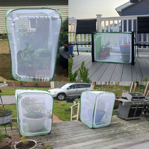 36" Garden Mesh Plant Enclosure Cover, Pop-up Garden Mesh Plant Cover for Pests, Bird and Pest Protection Guard for Fruit, Vegetables, Flowers and Herbs(1Pcs 24x24x36in Having Bottom) - style: 1Pcs 24x24x36in Having bottom