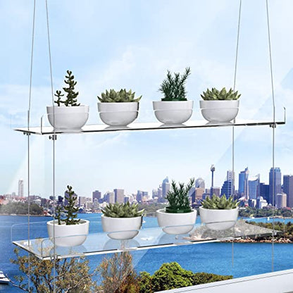 2-Tier Acrylic Window Display Shelves - color: 2 Tier