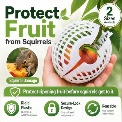 Fruit Protection Cages for Peaches and More | 2026 Improved Secure-Lock Design | Small 4x5 Inch | 24 Pack | Squirrel Resistant | Reusable Heavy-Duty Plastic | Made in USA - size: Small (4 x 5)