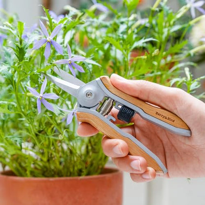 Berry&Bird Mini Pruning Shears for Gardening Straight Blades Hand Pruners with Wooden Handle Garden Scissors Snips Stainless Steel Trimming Small Clippers Bonsai Compact Size Shearing Tool - style: 6'' Straight Blade Scissors