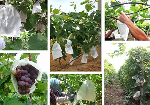 Fruit Protection Bags 100pcs Eco-Friendly Paper Cover Bags 7.8X11inch, Fruit Bags for Fruit Trees, Orchard, Trees, Frost, Plants (20 x 28 in)… - size: 22x26 cm