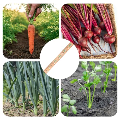 Spacer Tool Seeder Planting Ruler - Seeding Spacing Ruler with Precise Measurements,Seedlings Dibber Hand Transplanting Tools,for Vegetable Gardens, Yard