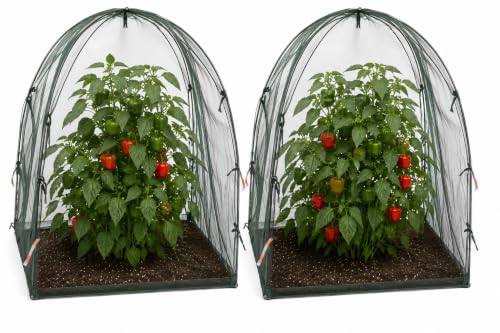 NuVue Products 25202 Pop-Up Garden Netting Animal and Bug Guard Covers with Ground Spikes, Mesh Plant Cover Tents for Pest and Animal Control, Pack of 2,Green, 28" x 28" x 30" - color: Green, size: 28" x 28" x 30"