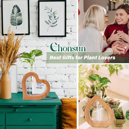 Plant Propagation Stations 2 PCS Wall Hanging Planters - size: 5.3IN