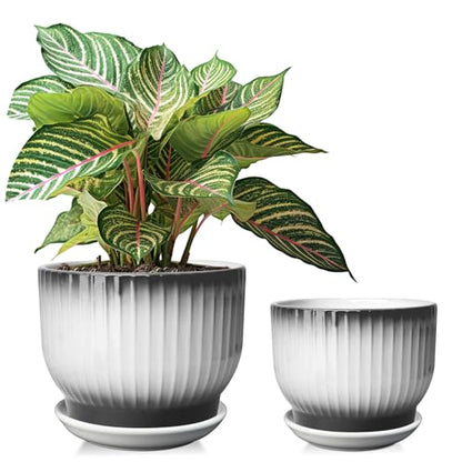 6.7 + 5.5 Inch Ceramic Plant Pots, Set of 2, Black + White - color: Black + White