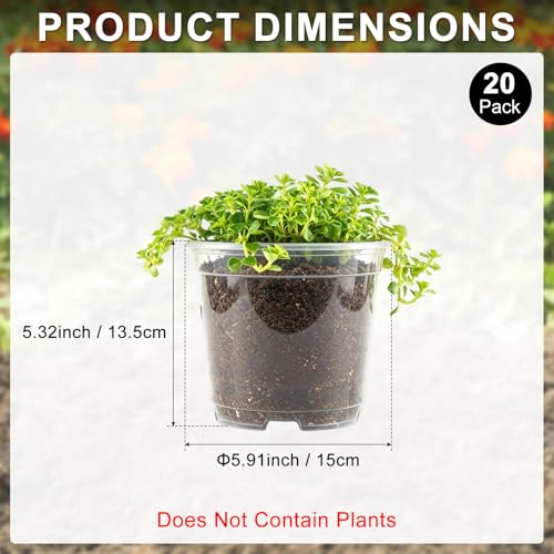 M METERXITY 20 Pack Clear Nursery Pots with Drainage Holes, Sturdy Plastic Seedling Starter Pots for Plants, Vegetable, Succulent, Propagation, Root Cutting, Seed Starting [6'' x 5''] - size: 5.91''