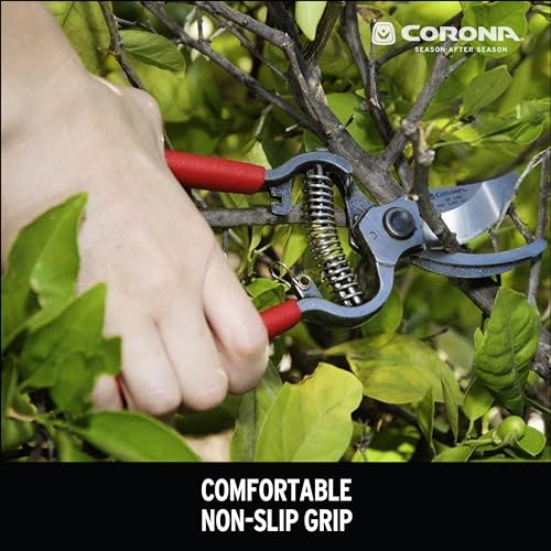 Corona BP 3180D Forged Classic Bypass Pruner with 1" Cutting Capacity, 1", Red - size: 1 inch