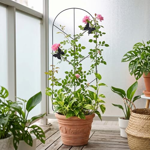 2 Pack 30'' Metal Plant Trellis for Climbing Plants Indoor Outdoor