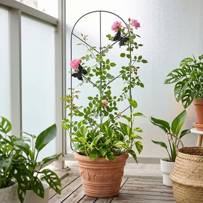 2 Pack 30'' Metal Plant Trellis for Climbing Plants Indoor Outdoor