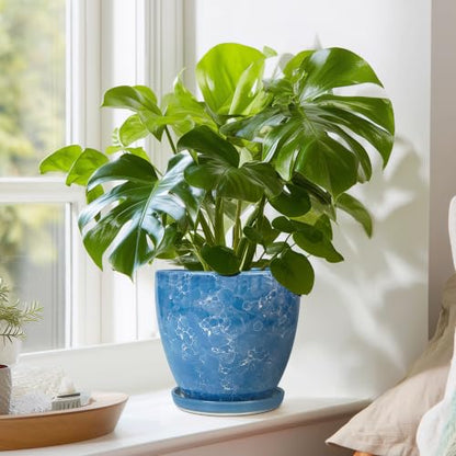 6 Inch Ceramic Plant Pot - Ceramic Planters Indoor, Blue - color: Sky Blue, size: 6 Inch