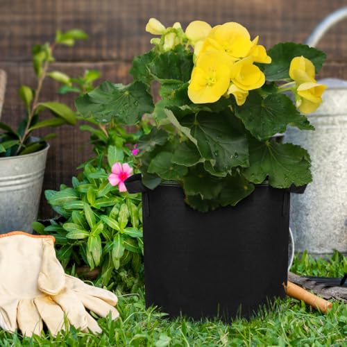 YARNOW 5-Pack 4 Gallon Fabric Grow Bags, Non-Woven Plant Pots with Reinforced Handles for Vegetables, Tomatoes, Potatoes, Strawberries, Flowers & Herbs, Outdoor Indoor (Black)