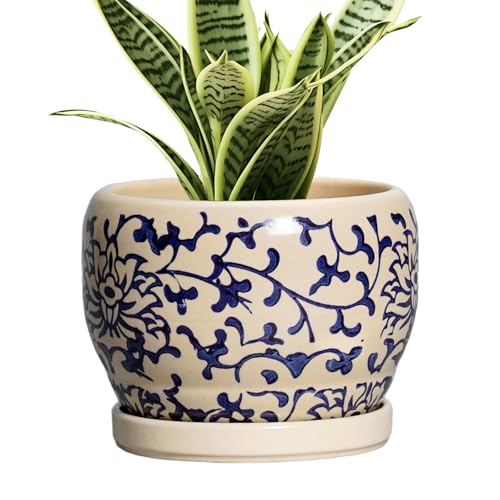 SQOWL Ceramic Flower Pots - 6 Inch Plant Pot Indoor with Drainage Hole and Saucer, Porcelain Ceramic Planter Outdoor, Decorative Round Small Planter, House Decor, Plant Lover Gifts, Blue and Beige - color: Blue and Beige, size: 6 Inch