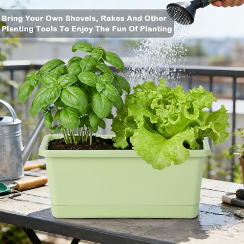 Oliz Window Box Planter 6 Packs, 13.8 Inches Rectangle Flower Pots with Drainage Holes & Trays, Pots for Vegetables, Herbs, Flowers, Garden Windowsill Balcony (Green) - color: Green