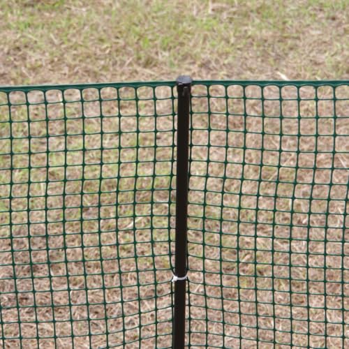 Heavy-Duty Plastic Mesh Netting, Green, 35.4 x 197 in (90cm x 5m), 25mm Grid, Recycled Plastic, Cut-to-Size, Multi-Purpose for Gardening & Fencing - size: 0.98 in (25mm)