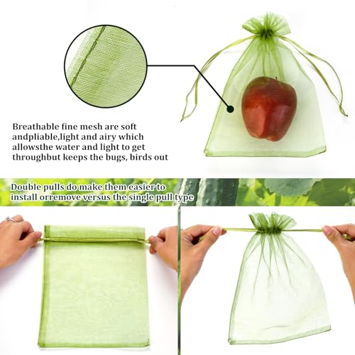50 PCS 6X9 inches Fruit Protection Bags, Fruit Bags for Fruit Trees - size: 6X9