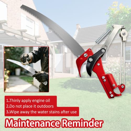 Pole Saw for Tree Trimming, 10.8FT Extendable Tree Pruner Long Handle Branch Cutter with Pruning Saw & Scissors, Manual Limb Trimmer for High Branches, Yard Garden