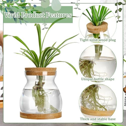 6 Pcs Glass Plant Propagation Station with Wood Lid & Stand, Novel Style - style: Novel Style