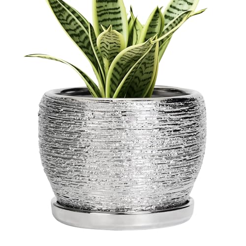 SQOWL Ceramic Plant Pots - 6 Inch Planter for Indoor Outdoor Plants, Modern Round Flower Pots with Drainage Hole and Saucer, Decorative Small Planter, Office Decor, Gifts for Women Men, Silver - color: Silvery, size: 6 Inch