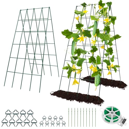 RIFNY Cucumber Trellis for Raised Bed, Garden Trellis 16.5 x 40 Inch, Green - color: Green, size: 16.5 x 40 Inch