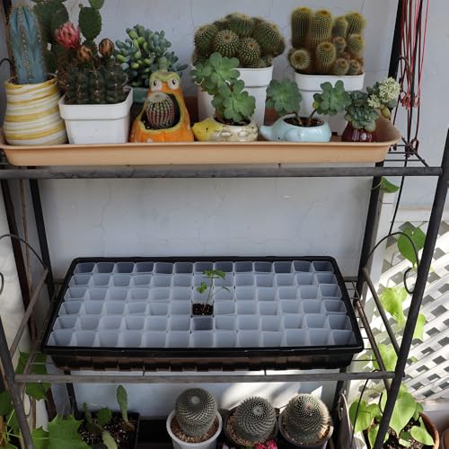 300 Pack 1.55 Inch Tiny Clear Plastic Square Nursery and Seedling Pot, Mini Transplant Seed Starter Planter with Drain Hole for Germination, Herb, Succulent - color: Clear