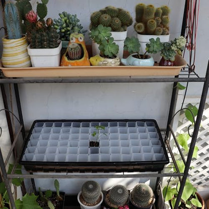 300 Pack 1.55 Inch Tiny Clear Plastic Square Nursery and Seedling Pot, Mini Transplant Seed Starter Planter with Drain Hole for Germination, Herb, Succulent - color: Clear