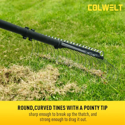 Colwelt Thatch Rake, Dethatcher Rake with Thin, Curved Spring Steel Tines, Dethatching Thatching Rake for Lawns with 61’’ Steel Handle, Lawn Tine Rakes for Pine Needles, Dead Grass, Garden Debris