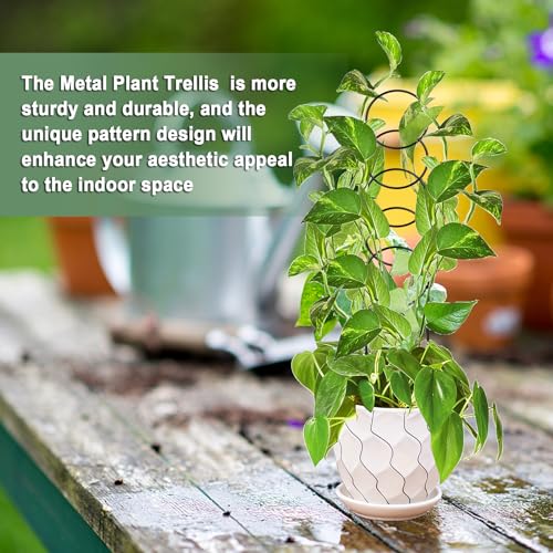 17.5 inch Small Trellis for Potted Plants, Metal Plant Trellis Indoor - color: Circular-Metal