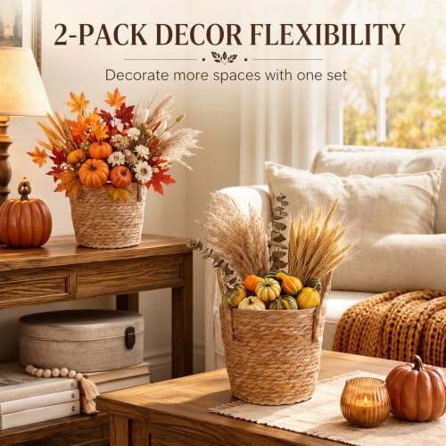 Novabright 2 Pcs Fall Woven Basket Planter, Wicker Planter, 10'', Natural - size: 10''