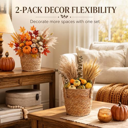 Novabright 2 Pcs Fall Woven Basket Planter, Wicker Planter, 10'', Natural - size: 10''