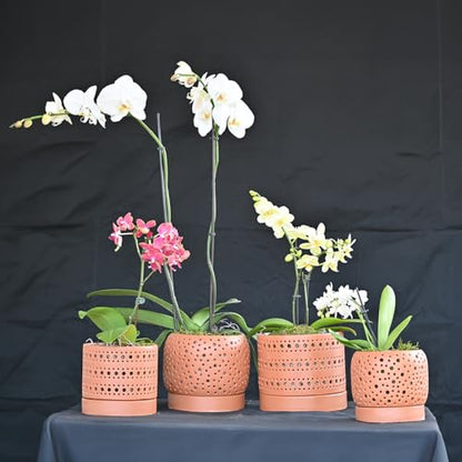 LE Beau Ceramic Moon Gate Orchid Planter with Attached Saucer - Sand (Sand Canyon Clay, 6.0" D x 5.5" H (Single Pot)) - color: Sand Canyon Clay, size: 6.0" D x 5.5" H (Single Pot)