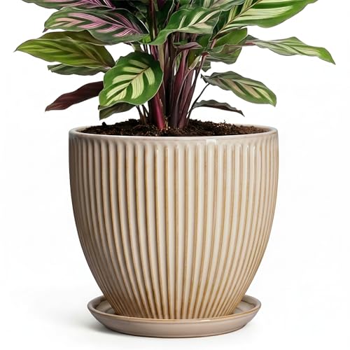 Ceramic Plant Pot, 6 Inch Succulent Pots with Drainage Hole and Saucer, Decorative Pot for Indoor Plants, Modern Indoor Flower Pots, Round Planter, Bedroom Decor, Plant Lover Gifts, Beige - color: Beige, size: 6 Inch